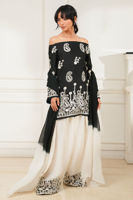 Picture of Fiza