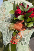 Picture of Client In Nova